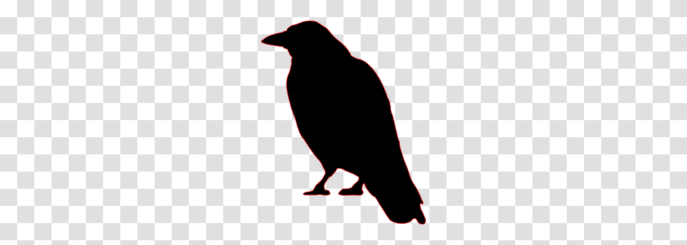 Crow, Animal, Bird, Outdoors Transparent Png