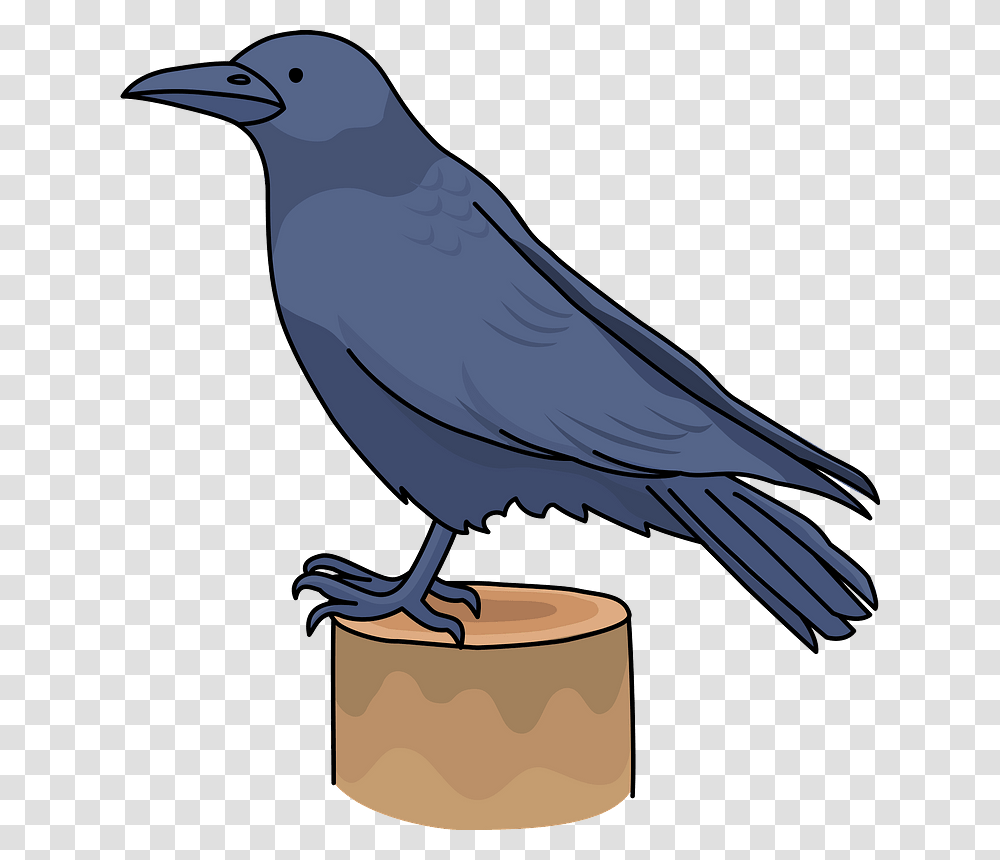 Crow Bird Clipart Raven, Animal, Blackbird, Agelaius Transparent Png