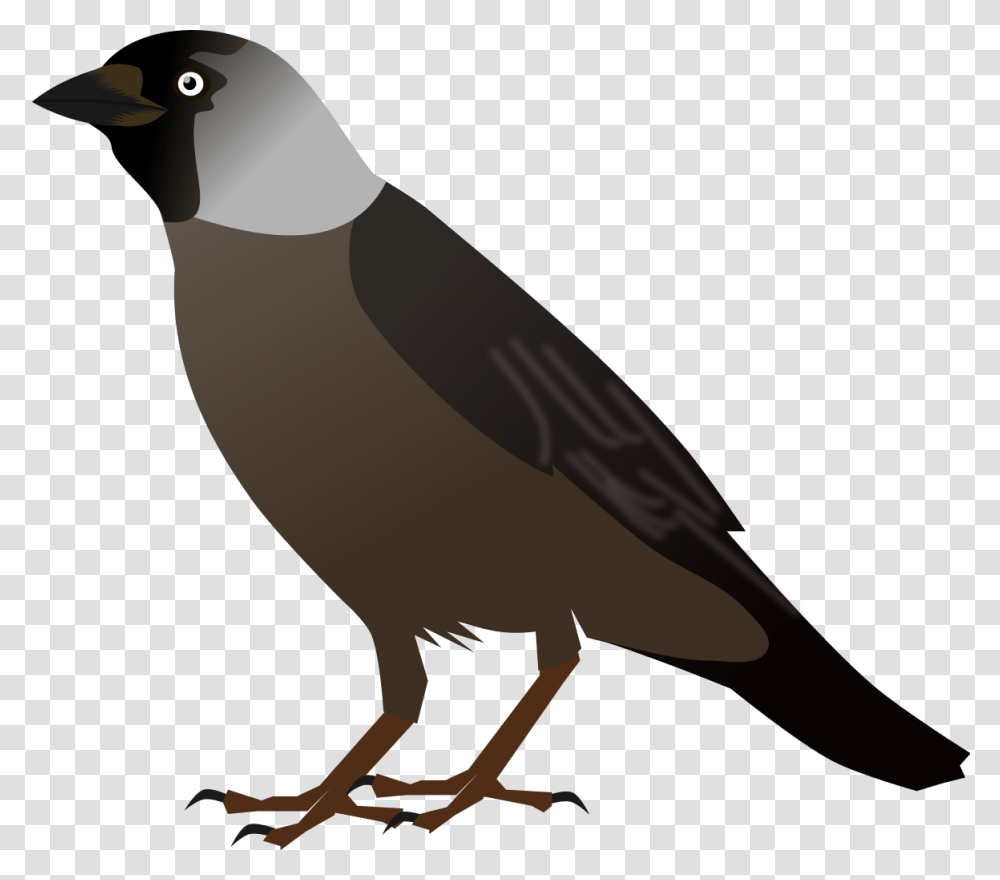Crow Bird Cliparts Crow Bird Clipart, Axe, Tool, Animal, Beak Transparent Png