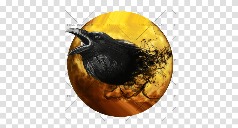 Crow Bird Image With Background Photo, Animal, Blackbird, Agelaius, Helmet Transparent Png