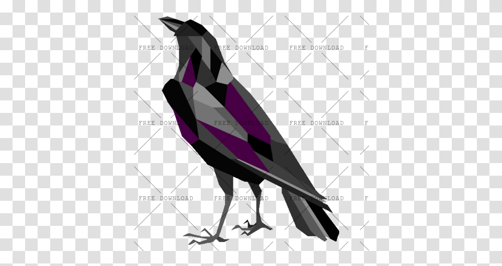 Crow Bird Image With Background Photo, Vulture, Animal, Airplane, Aircraft Transparent Png
