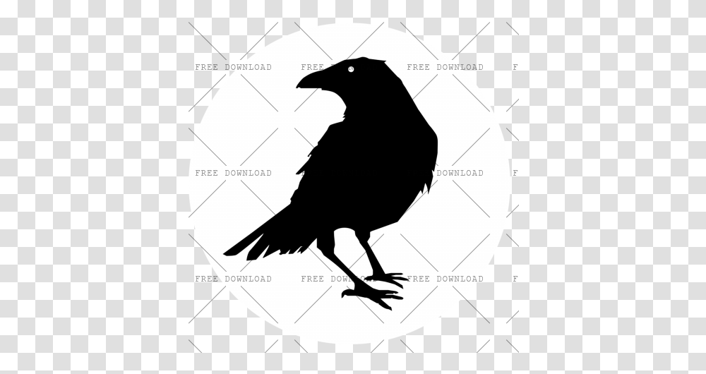 Crow Bird Image With Royalty Free Raven Silhouette, Animal, Blackbird, Agelaius, Stencil Transparent Png