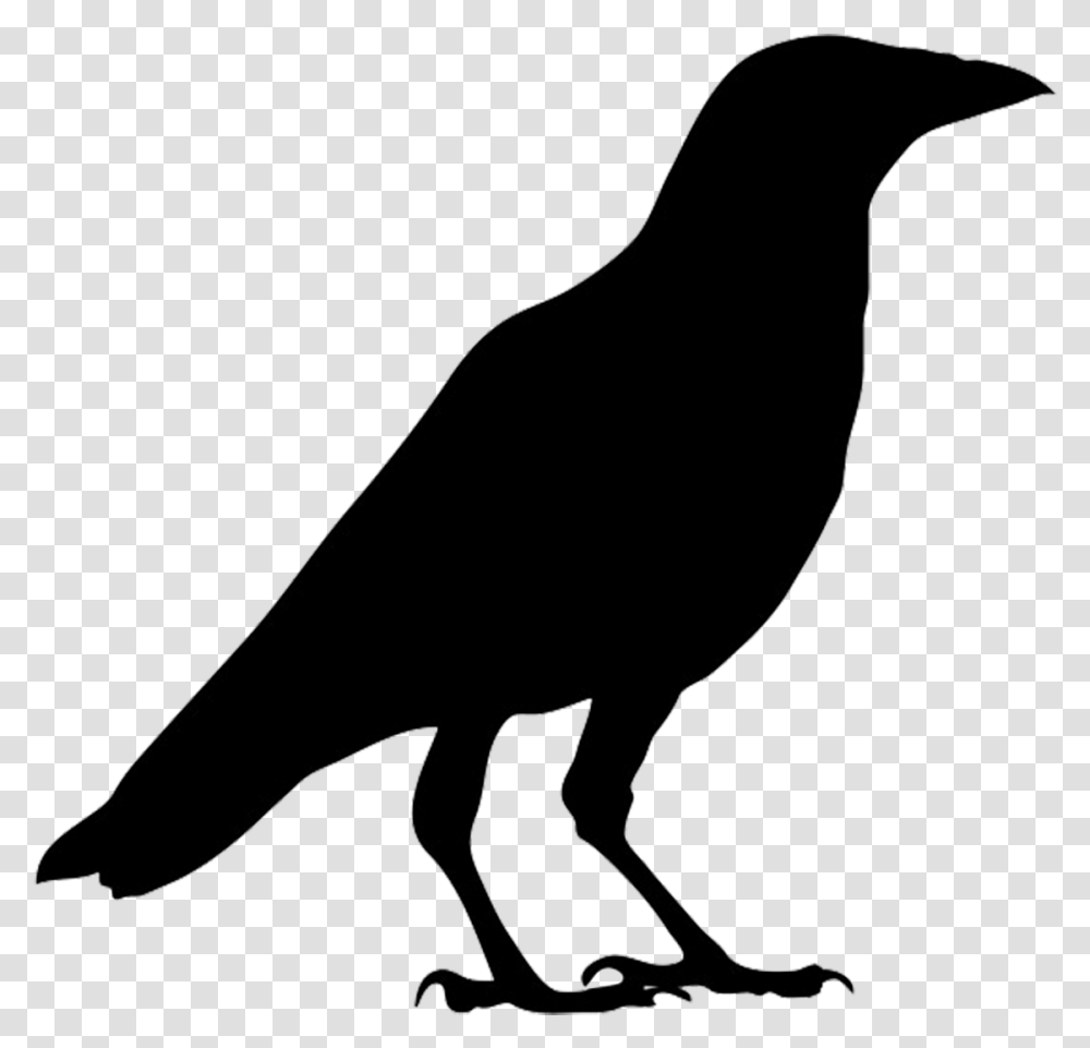 Crow Black And White, Bow, Bird, Animal, Silhouette Transparent Png