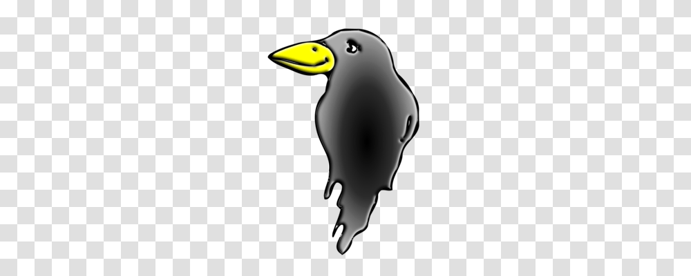 Crow Cartoon Animation Download Common Raven, Bird, Animal, Silhouette, Beak Transparent Png