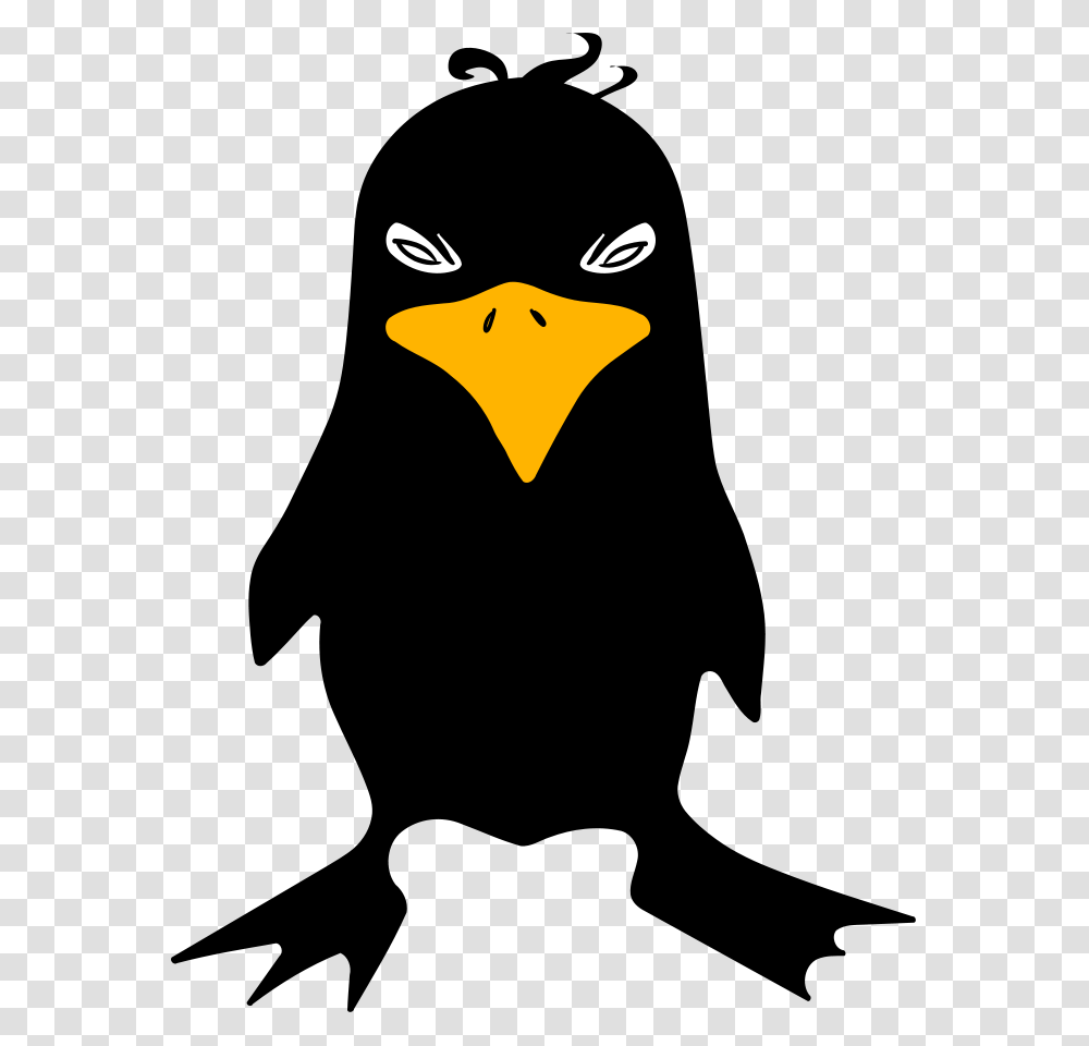 Crow Clip Art, Bird, Animal, Light Transparent Png