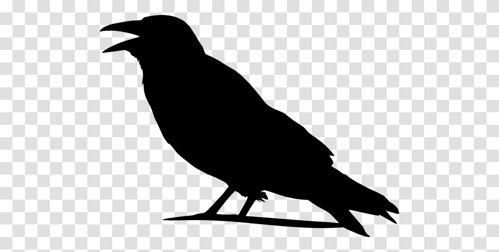 Crow Clip Art Clipart Photo Clipart, Silhouette, Bird, Animal, Blackbird Transparent Png