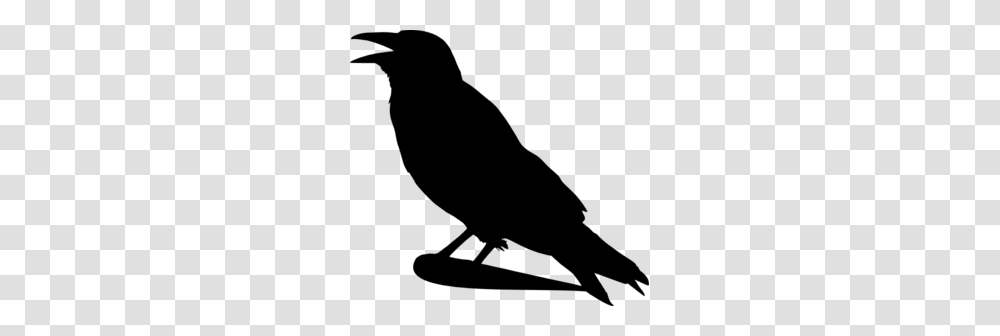 Crow Clip Art Free, Gray, World Of Warcraft Transparent Png