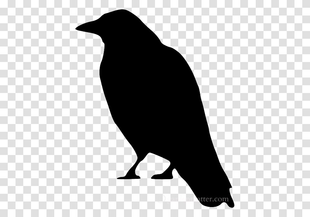 Crow Clip Art, Silhouette, Bird, Animal, Blackbird Transparent Png