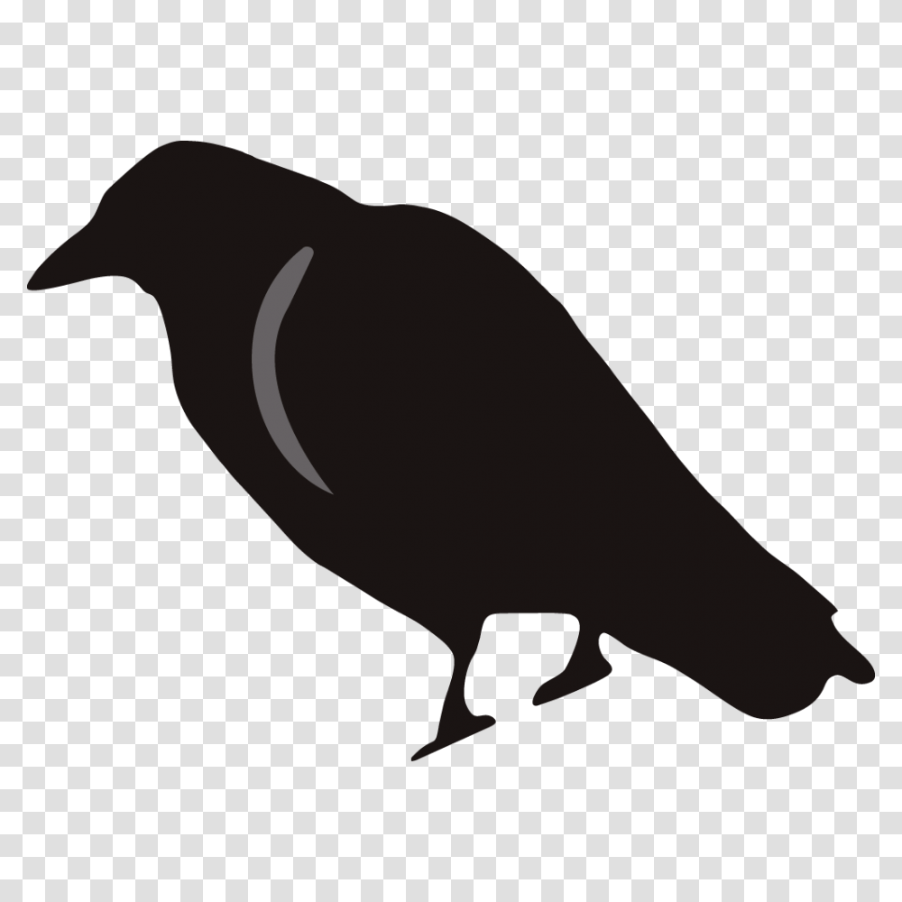 Crow Clipart, Animal, Bird, Silhouette, Finch Transparent Png