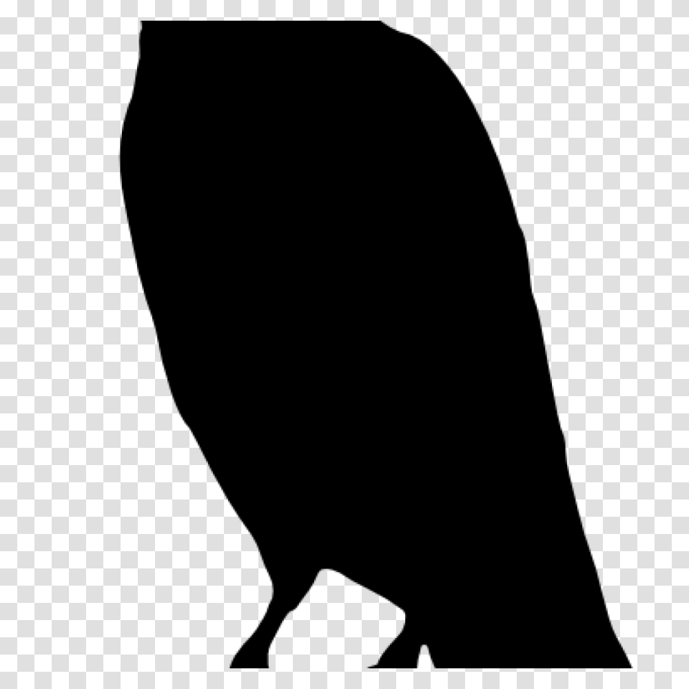 Crow Clipart Bat Clipart House Clipart Online Download, Gray, World Of Warcraft Transparent Png