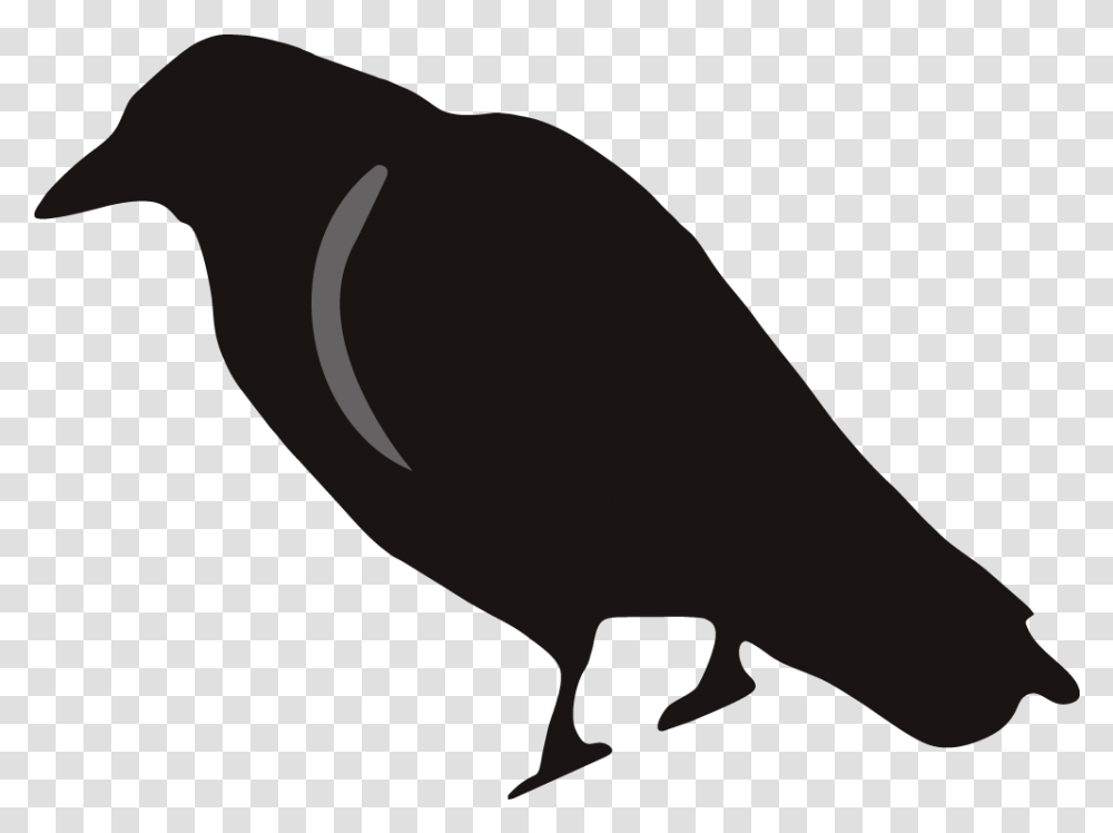 Crow Clipart Birds And Clip Art Photo Crowclipart Crow Clip Art, Animal, Reptile, Dinosaur Transparent Png