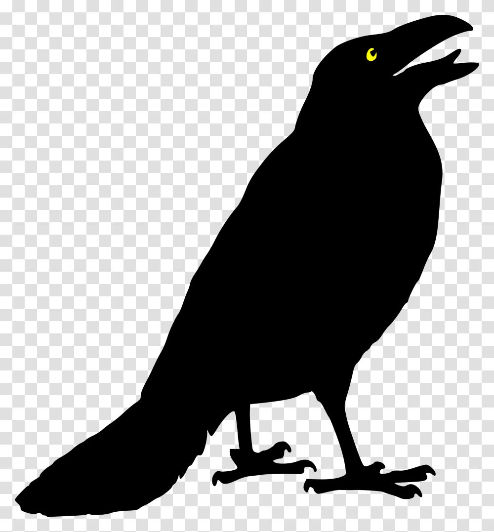 Crow Clipart Black And White, Gray Transparent Png