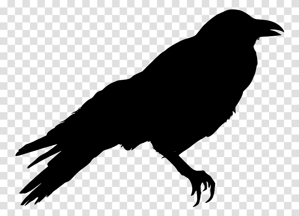 Crow Clipart Black And White, Gray, World Of Warcraft Transparent Png