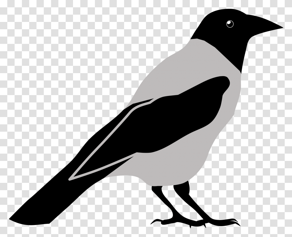 Crow Clipart Black And White, Silhouette, Bird, Animal, Blackbird Transparent Png