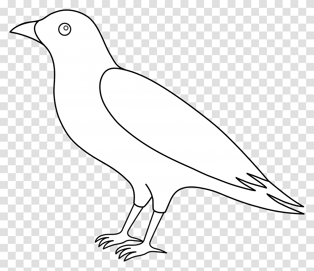 Crow Clipart Flying Crowdrawing Outline, Bird, Animal, Hammer, Tool Transparent Png