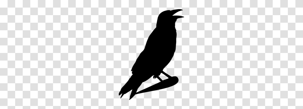 Crow Clipart, Gray, World Of Warcraft Transparent Png