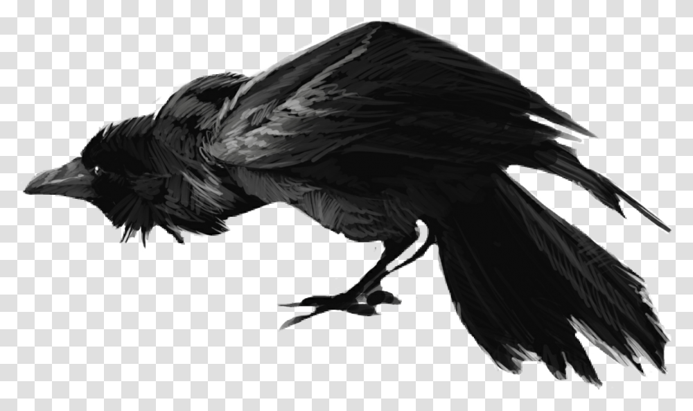 Crow Clipart Scary Scary Raven, Bird, Animal, Vulture, Flying Transparent Png