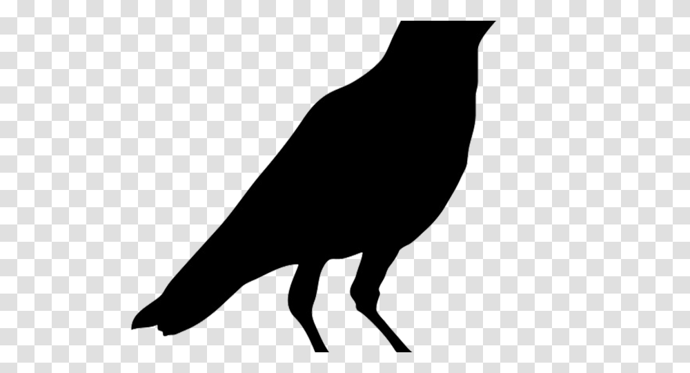 Crow Clipart, Silhouette, Animal, Bird, Bow Transparent Png