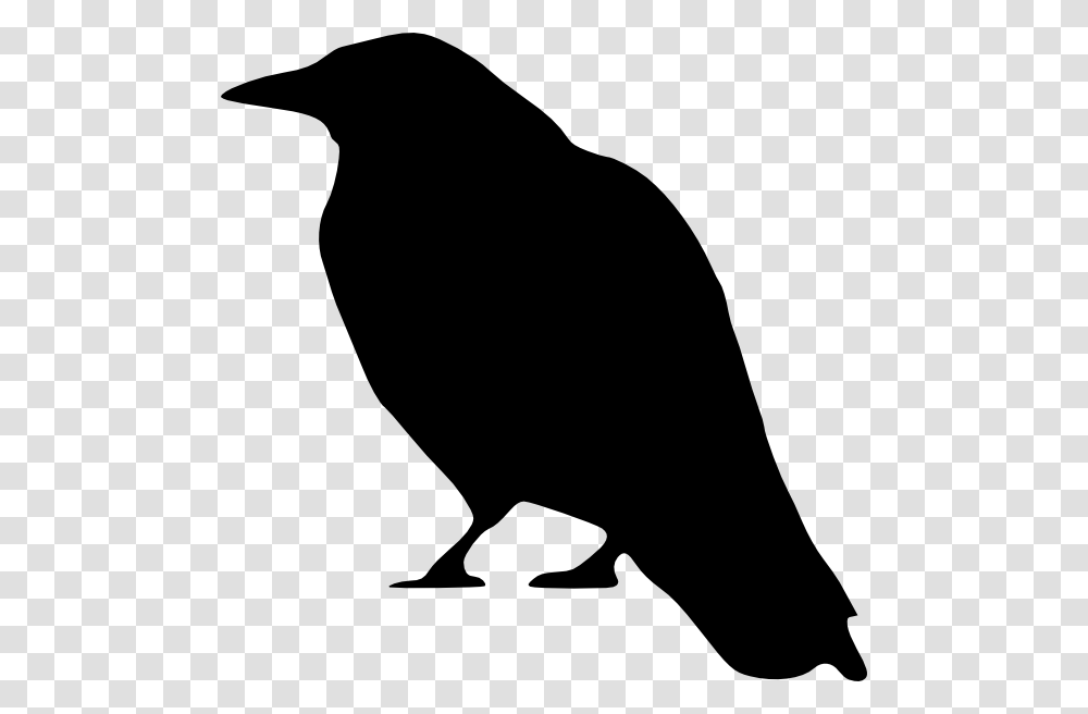 Crow Clipart, Silhouette, Bird, Animal, Person Transparent Png