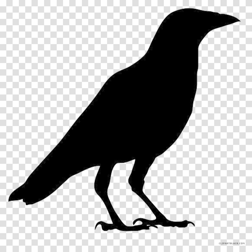 Crow Clipart Silhouette Outline Images Of Crow, Bow, Bird, Animal, Blackbird Transparent Png