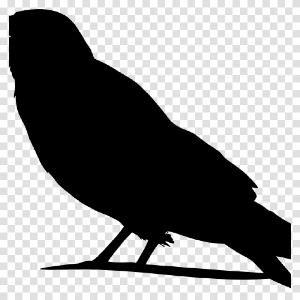 Crow Clipart Silhouette Pattern Clip Art Pyrography Ideas, Gray, World Of Warcraft Transparent Png