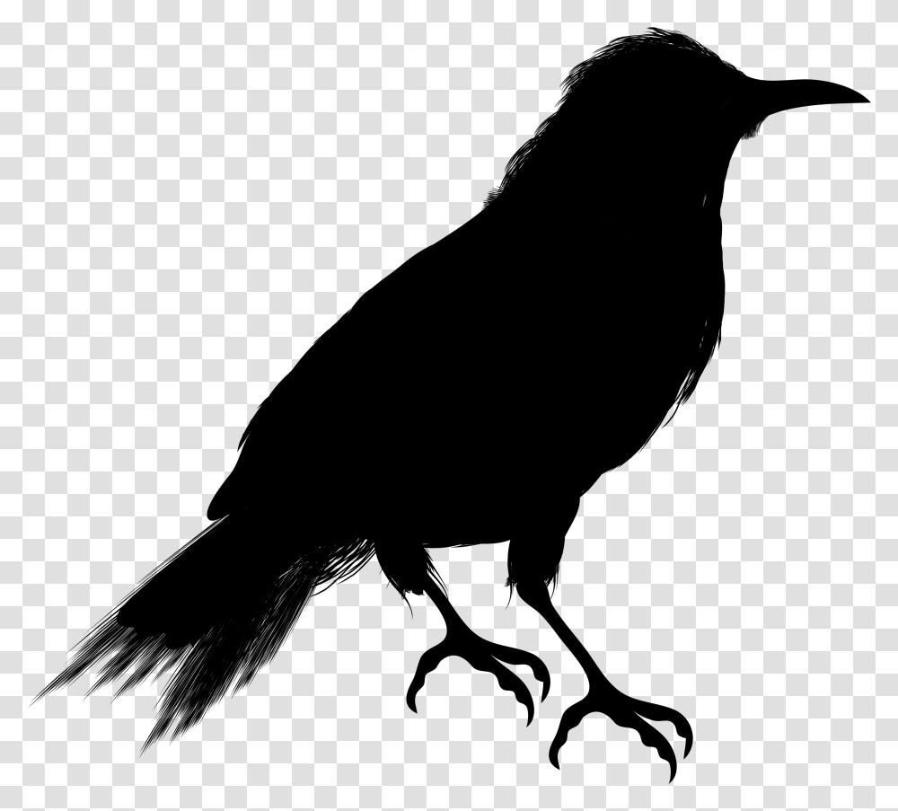 Crow Clipart Vector Crow Black And White, Gray, World Of Warcraft Transparent Png