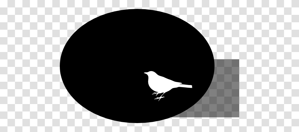 Crow Clipart White Background, Bird, Animal, Silhouette, Blackbird Transparent Png