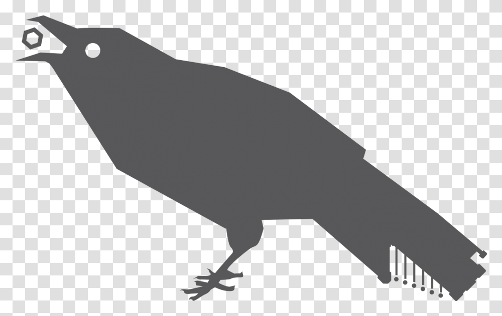 Crow Crow, Animal, Bird, Reptile, Kiwi Bird Transparent Png