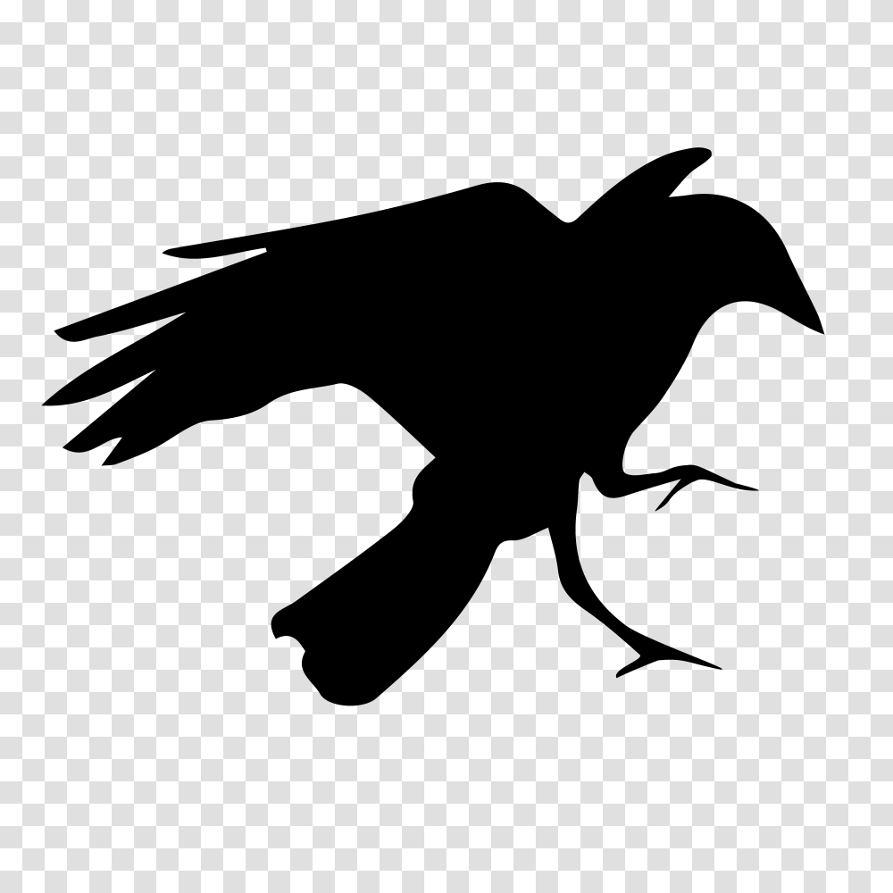 Crow Digital Logo, Gray, World Of Warcraft Transparent Png