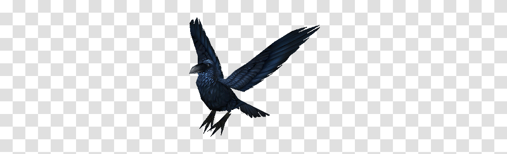 Crow, Dragon, Animal, Bird, Flying Transparent Png