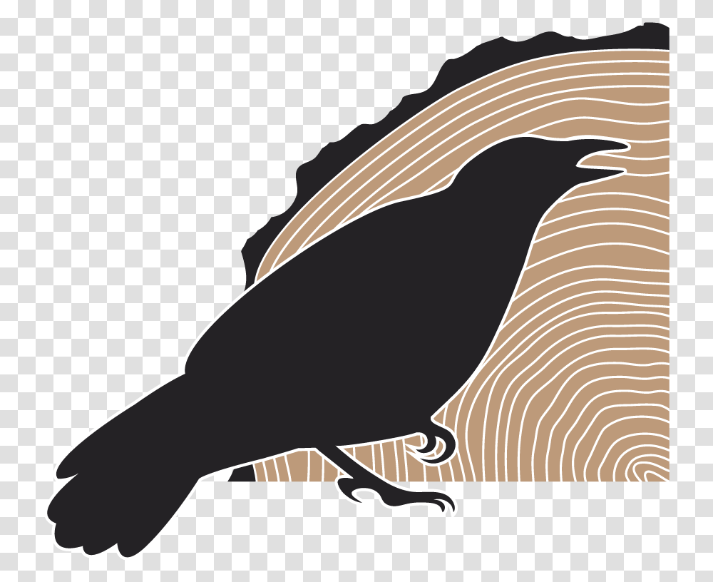 Crow Engineering, Quail, Bird, Animal, Blackbird Transparent Png