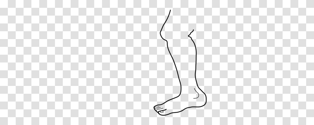 Crow Foot Computer Icons Drawing Leg, Gray, World Of Warcraft Transparent Png