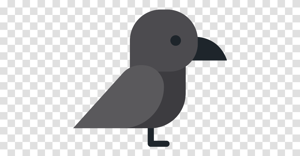 Crow Icon Horror Cartoon Bird, Animal, Mammal, Lamp, Rabbit Transparent Png