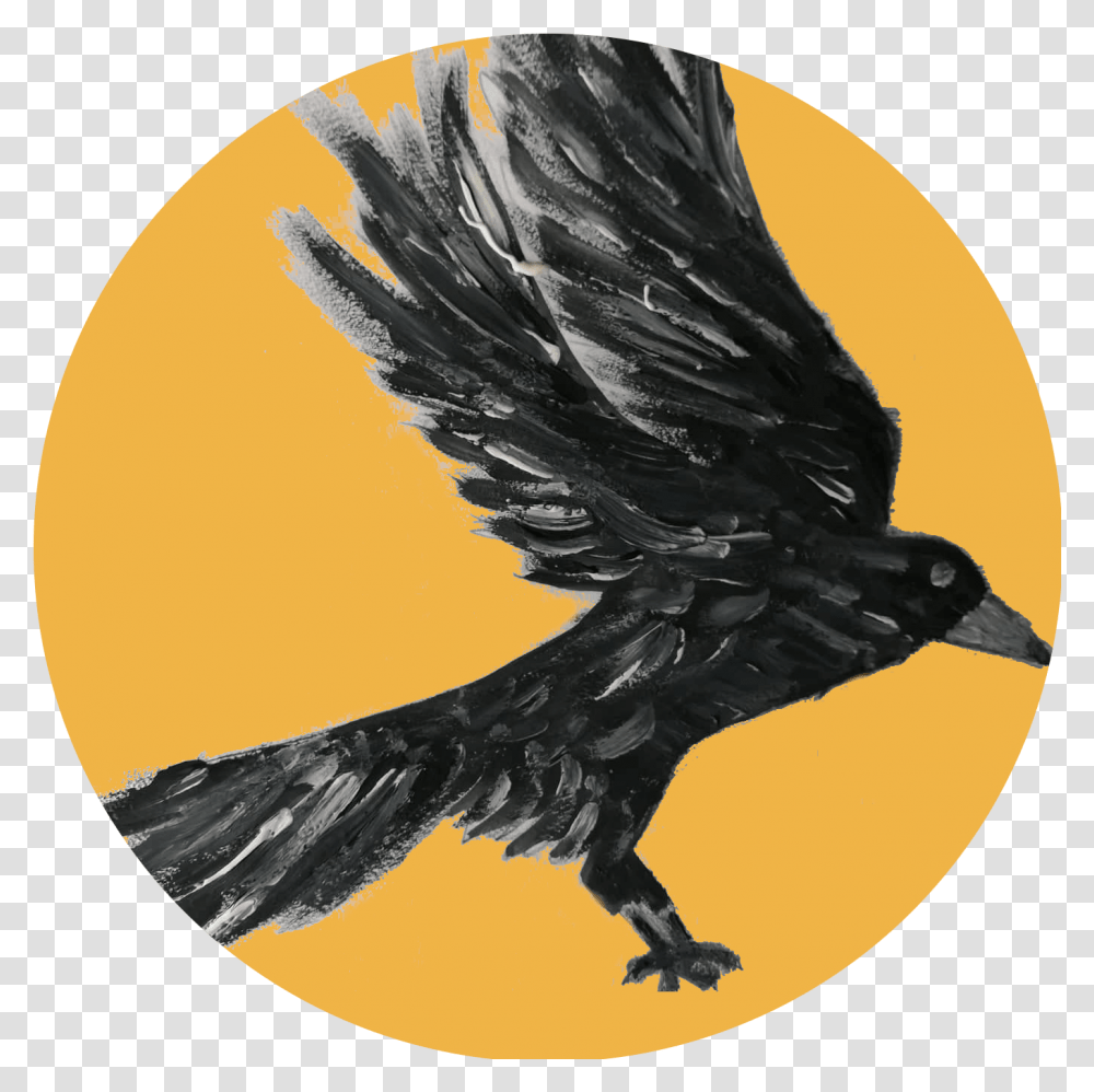 Crow Intelligence American Crow, Bird, Animal, Eagle, Blackbird Transparent Png