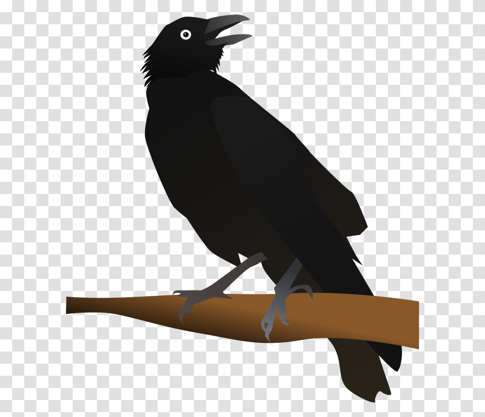 Crow Like Birdnew Caledonian Crowamerican Crow Clip Art Image Of Crow, Animal, Finch, Blackbird Transparent Png