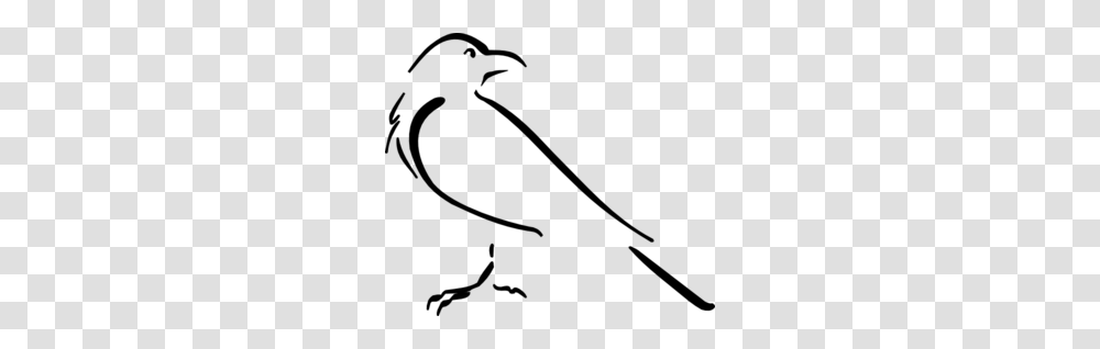 Crow Line Art Clip Art For Web, Gray, World Of Warcraft Transparent Png