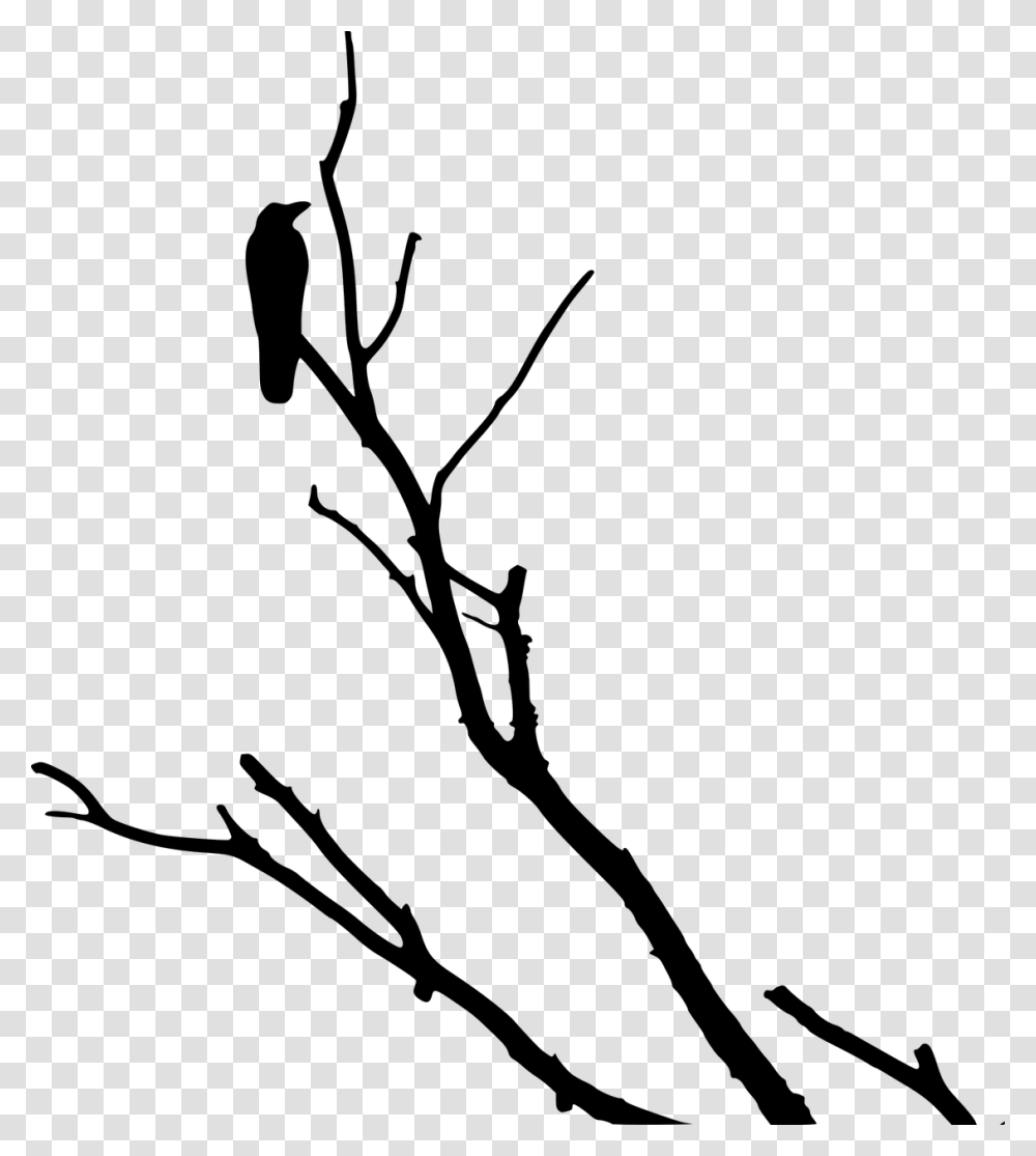 Crow On Dead Tree, Gray, World Of Warcraft Transparent Png