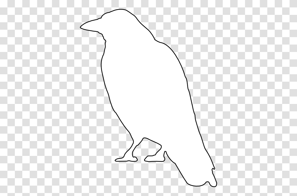 Crow Outline Clip Art, Bird, Animal, Penguin, Cockatoo Transparent Png