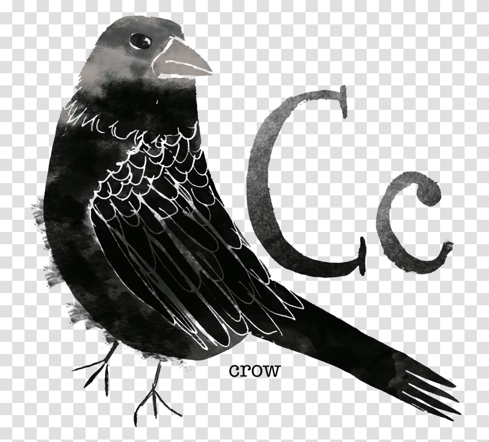Crow Rose Breasted Grosbeak, Bird, Animal, Silhouette, Blackbird Transparent Png