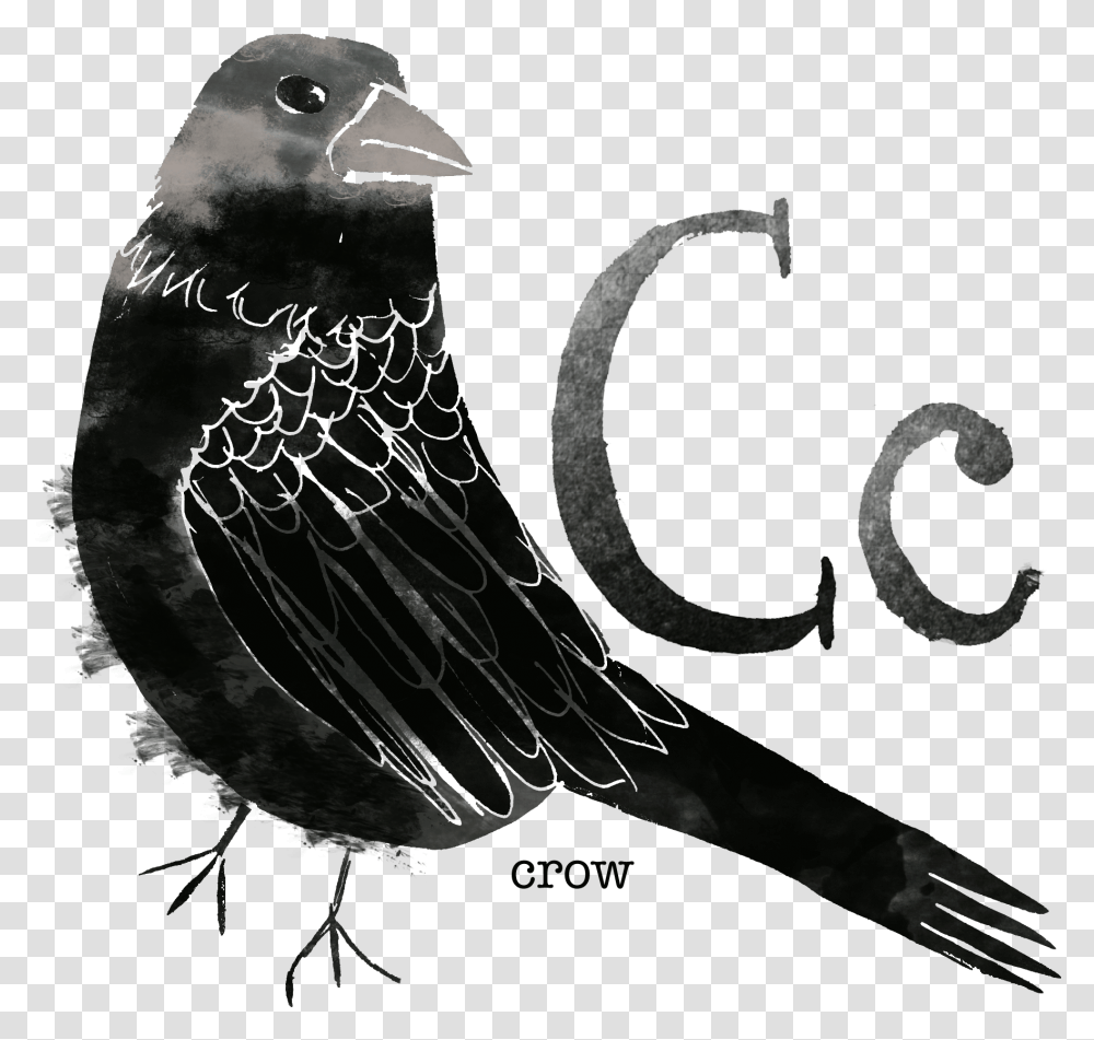 Crow Rose Breasted Grosbeak, Silhouette, Animal, Bird, Blackbird Transparent Png