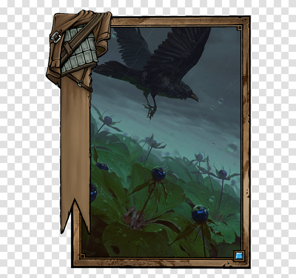 Crow S Eye Mastercrafted Spear Gwent, Bird, Animal, Legend Of Zelda Transparent Png