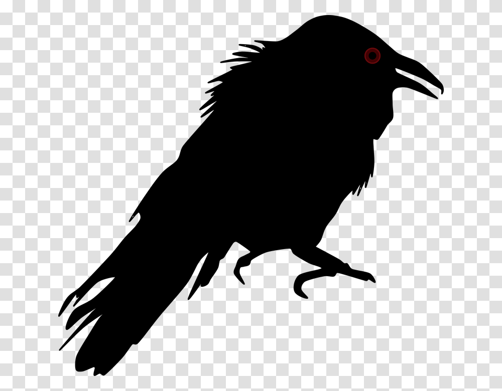 Crow Silhouette Background, Nature, Outdoors, Astronomy, Outer Space Transparent Png
