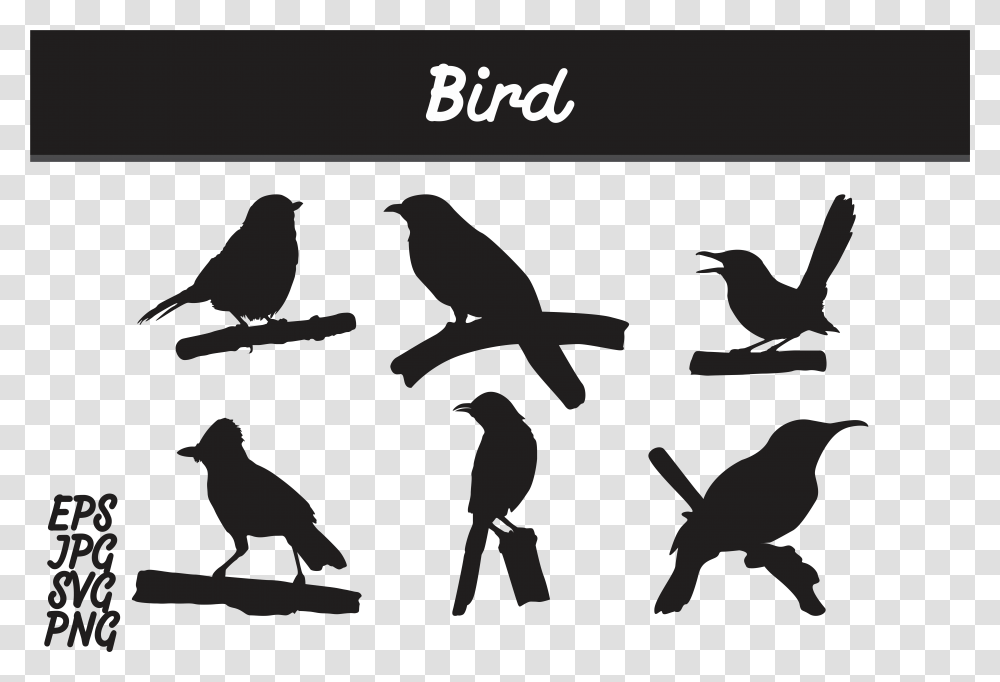 Crow Silhouette Batik Mega Mendung Vector, Bird, Animal, Poster Transparent Png