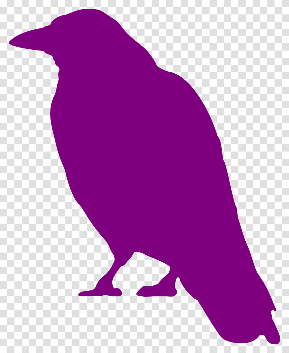 Crow Silhouette, Bird, Animal, Person, Human Transparent Png