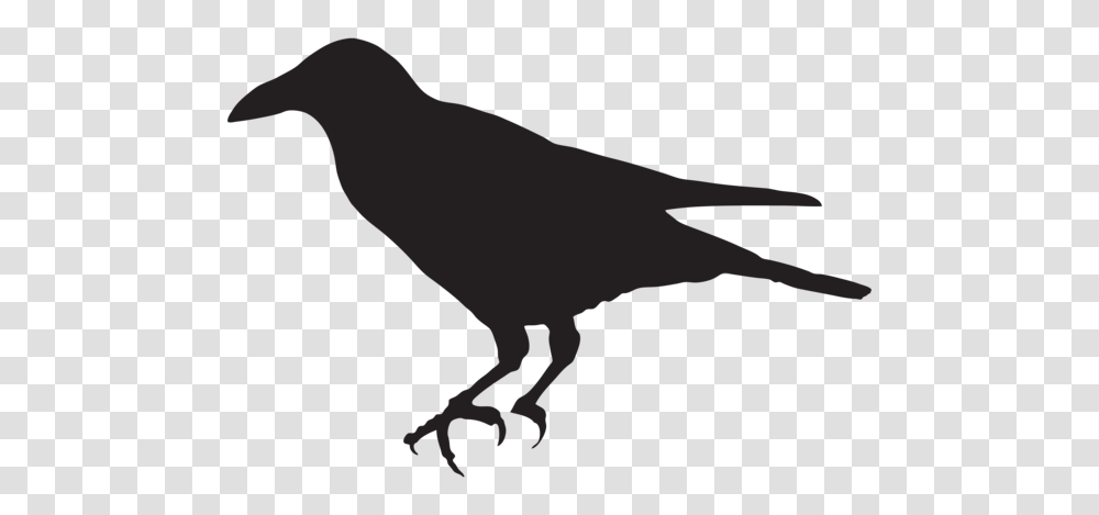 Crow Silhouette Clip Art, Animal, Bird Transparent Png