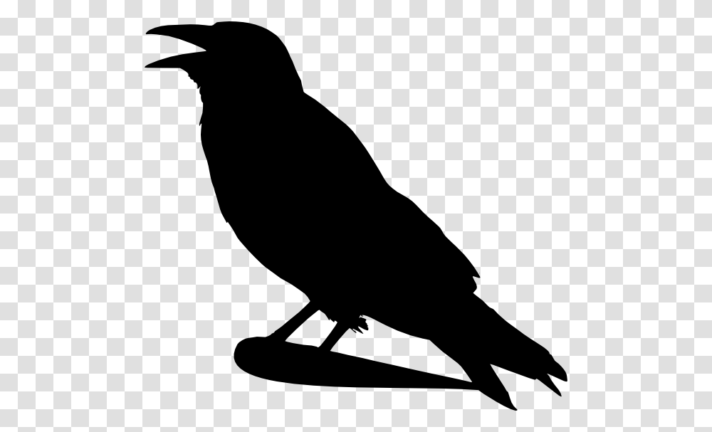 Crow Silhouette Clip Art, Bird, Animal, Person, Human Transparent Png
