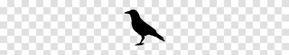 Crow Silhouette Clip Art Image M, Gray, World Of Warcraft Transparent Png