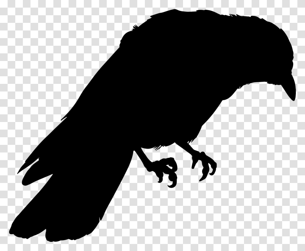 Crow Silhouette, Gray, World Of Warcraft Transparent Png