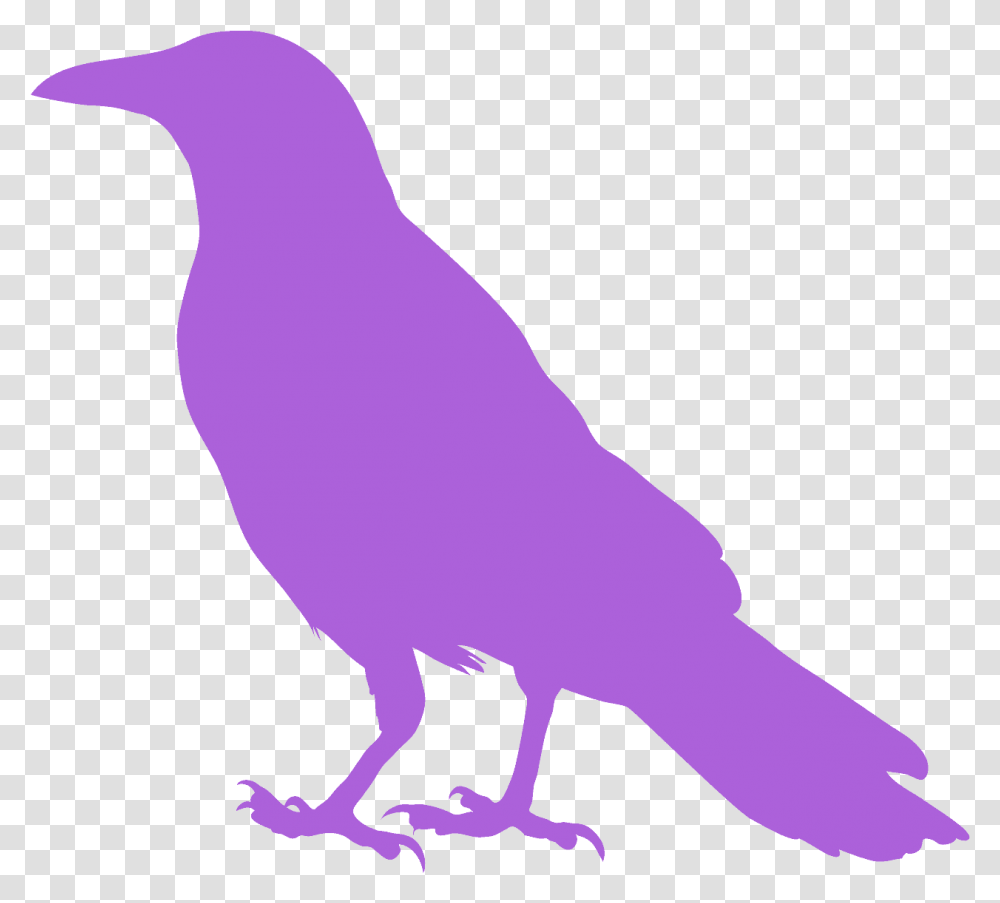 Crow Silhouette Red, Bird, Animal, Person, Human Transparent Png