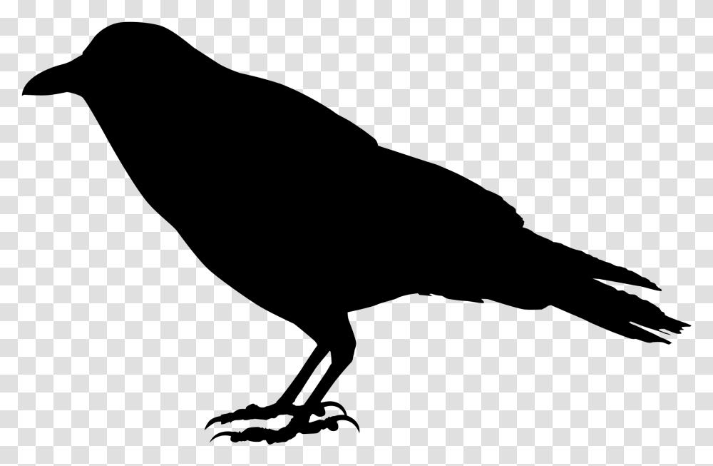 Crow Silhouette Silhouette Crow Background, Gray, World Of Warcraft Transparent Png